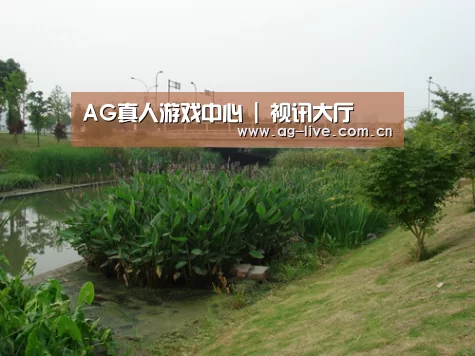 案例展示四(图1)