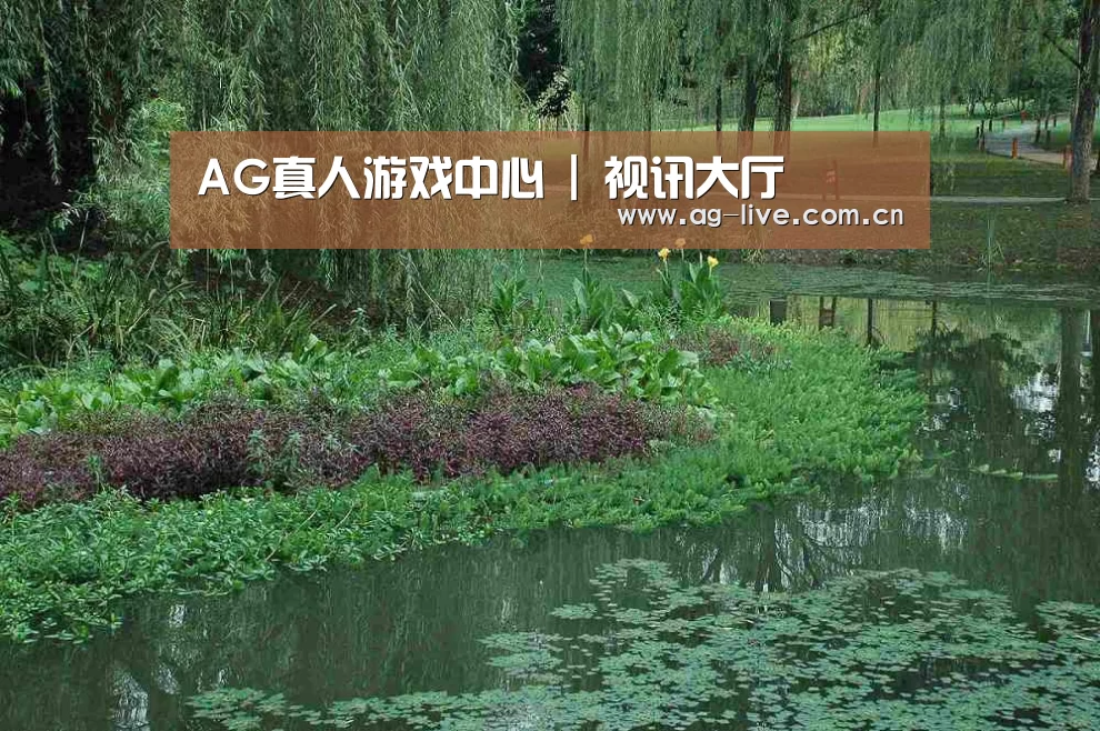 案例展示一(图1)