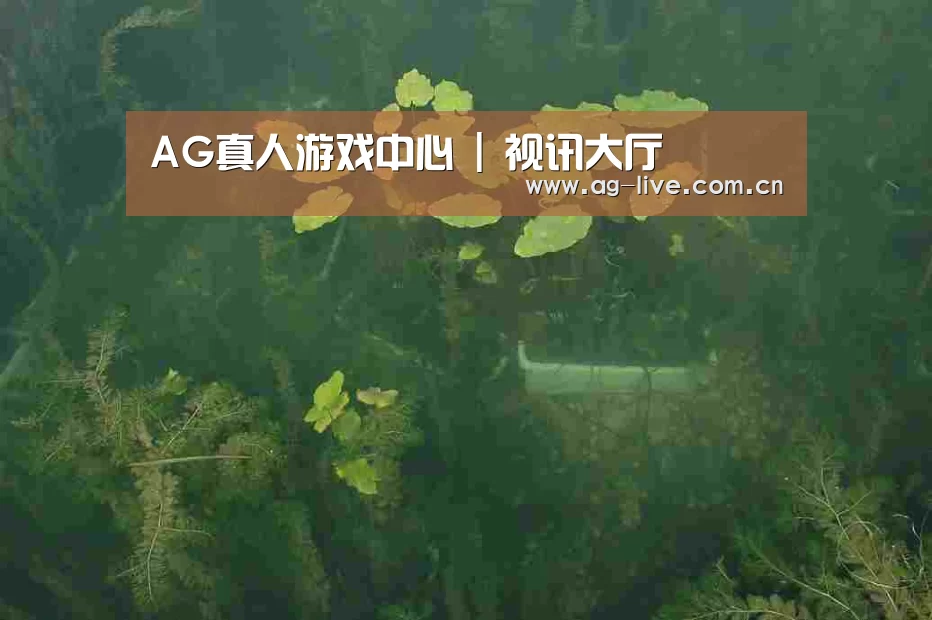 案例展示三(图1)