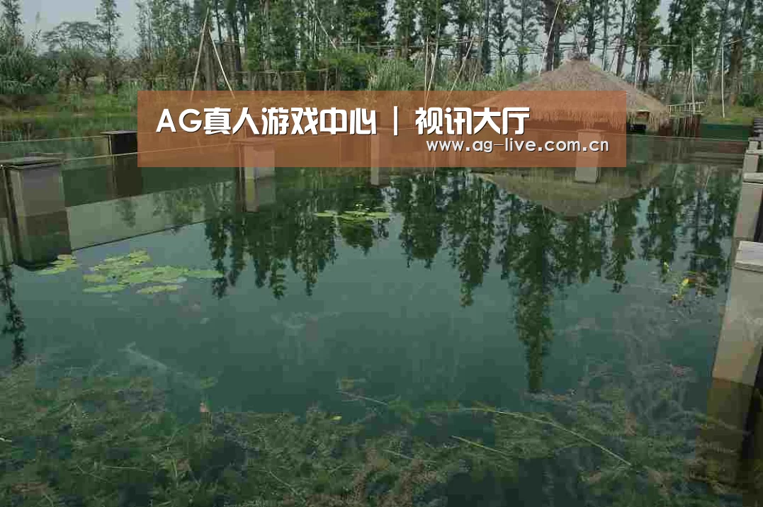 案例展示二(图1)