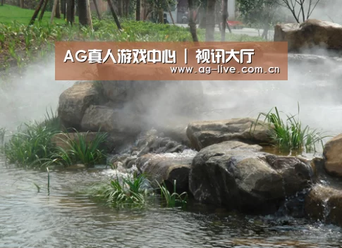 案例展示五(图1)