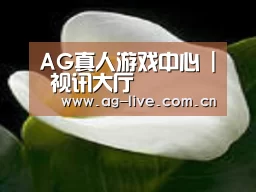 产品名称七