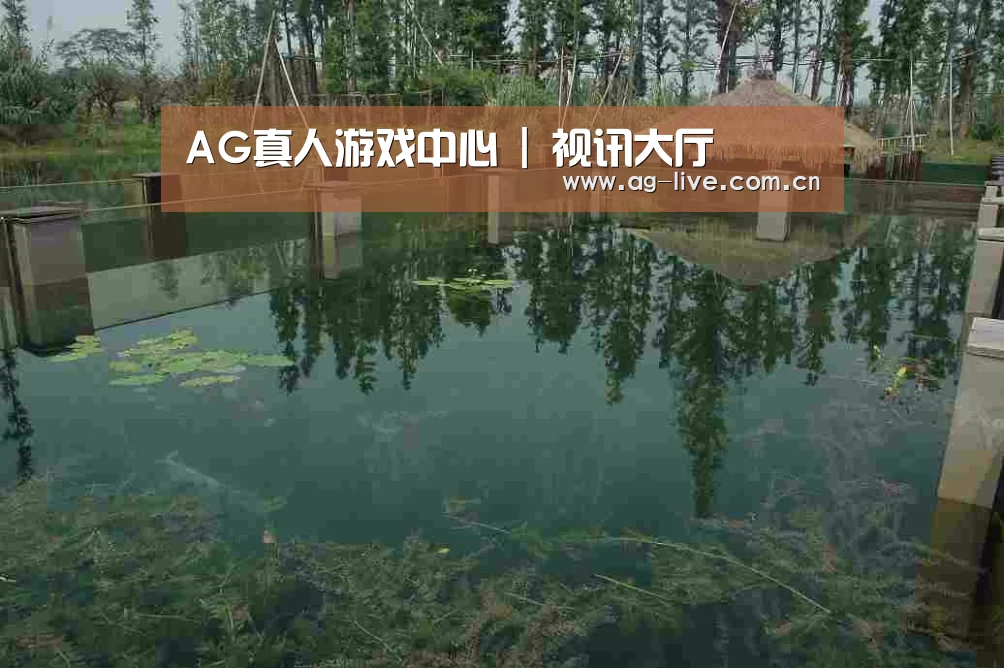 案例展示二
