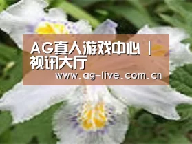 产品名称二