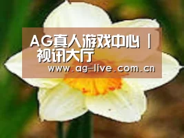 产品名称四