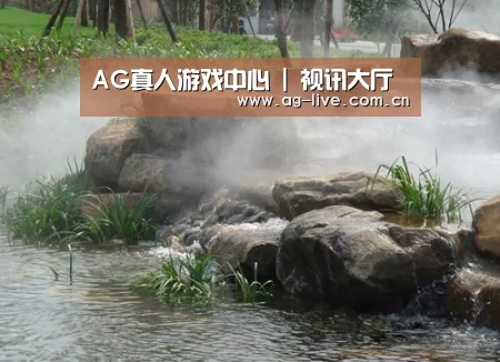 案例展示五