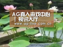 产品名称一