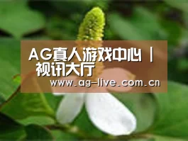 产品名称三
