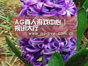 产品名称八