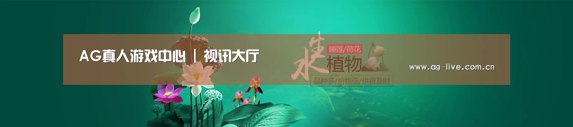 鲜花水草花卉网站模板