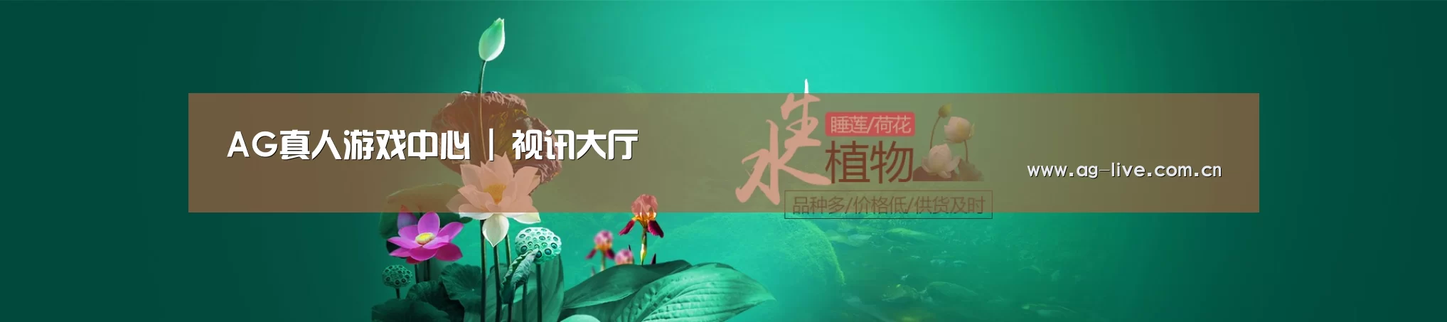 鲜花水草花卉网站模板