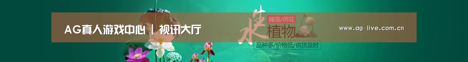 鲜花水草花卉网站模板