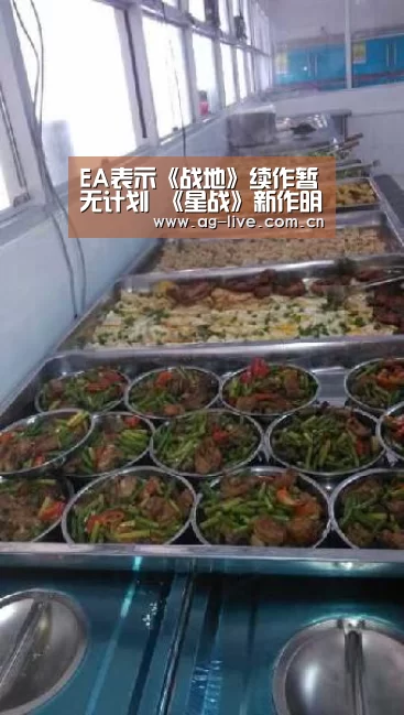 EA表示《战地》续作暂无计划 《星战》新作明年推出“AG真人官网”