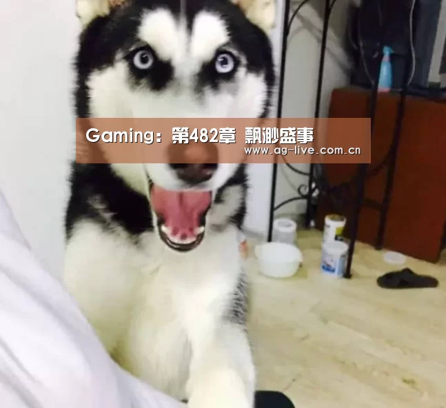 Gaming：第482章 飘渺盛事(图2)