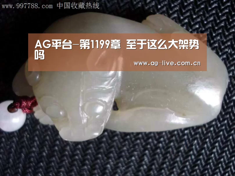AG平台-第1199章 至于这么大架势吗(图4) AG平台-第1199章 至于这么大架势吗(图4)