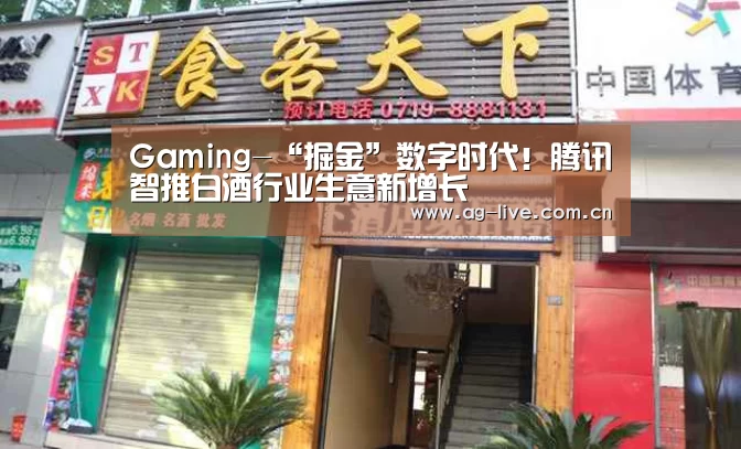 Gaming-“掘金”数字时代!腾讯智推白酒行业生意新增长(图3) AG真人官网