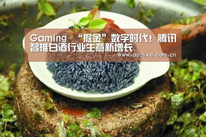 Gaming-“掘金”数字时代!腾讯智推白酒行业生意新增长(图2) AG真人官网