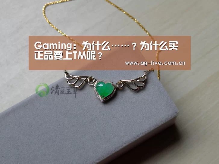 Gaming：为什么……？为什么买正品要上TM呢？(图3)
