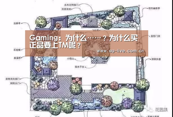 Gaming：为什么……？为什么买正品要上TM呢？(图4)