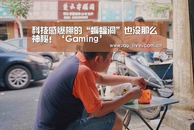 科技感爆棚的“蝙蝠洞”也没那么神秘！‘Gaming’(图3)