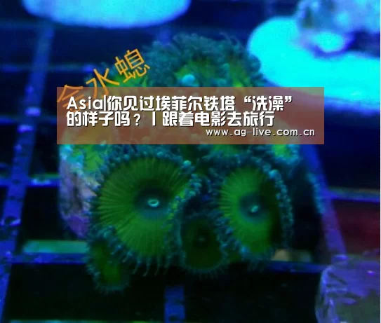 AG真人官网