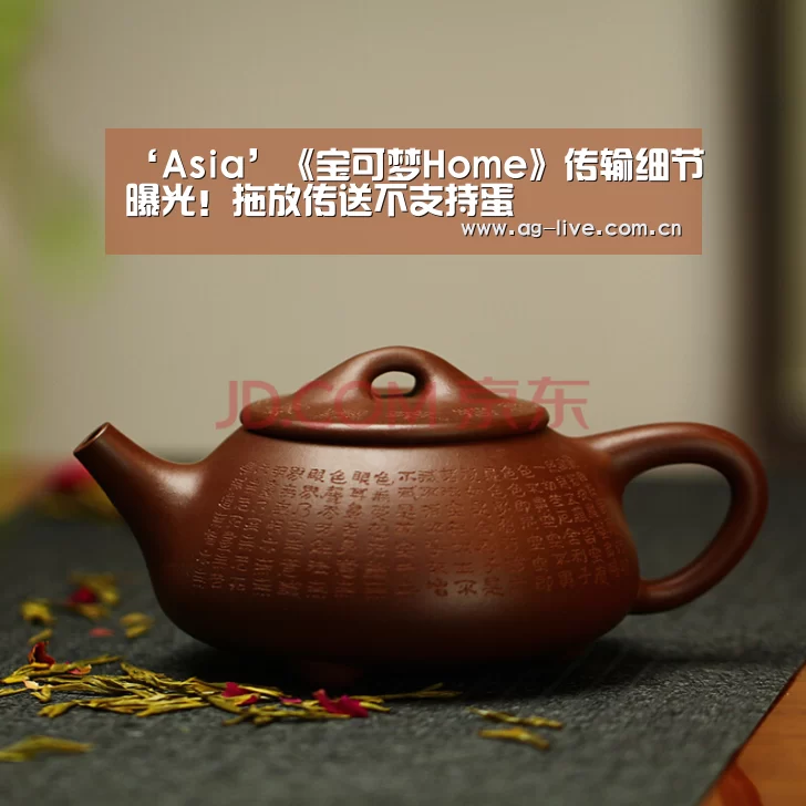 ‘Asia’《宝可梦Home》传输细节曝光！拖放传送不支持蛋(图4)