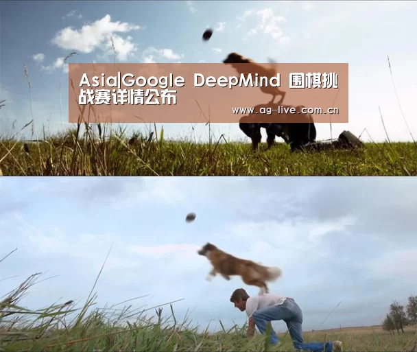 AG平台