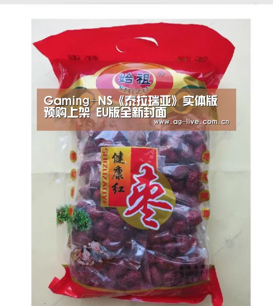 Gaming-NS《泰拉瑞亚》实体版预购上架 EU版全新封面