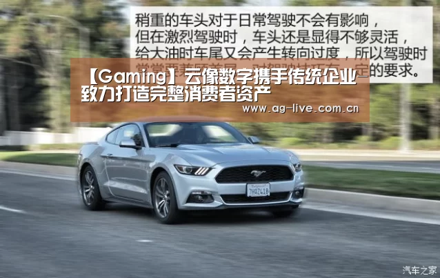 【Gaming】云像数字携手传统企业-致力打造完整消费者资产(图1)