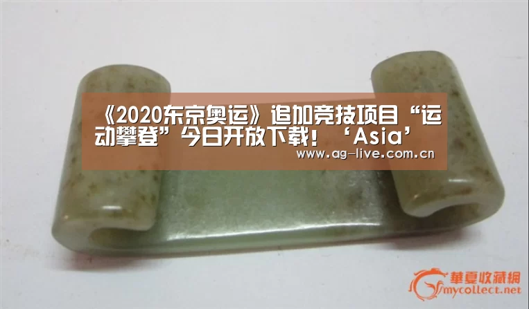 《2020东京奥运》追加竞技项目“运动攀登”今日开放下载！‘Asia’