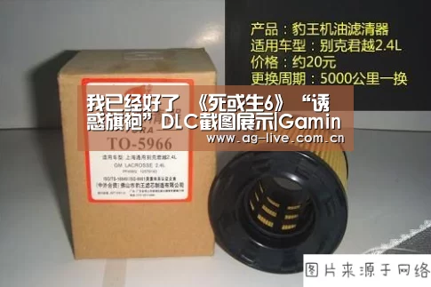 我已经好了 《死或生6》“诱惑旗袍”DLC截图展示|Gaming