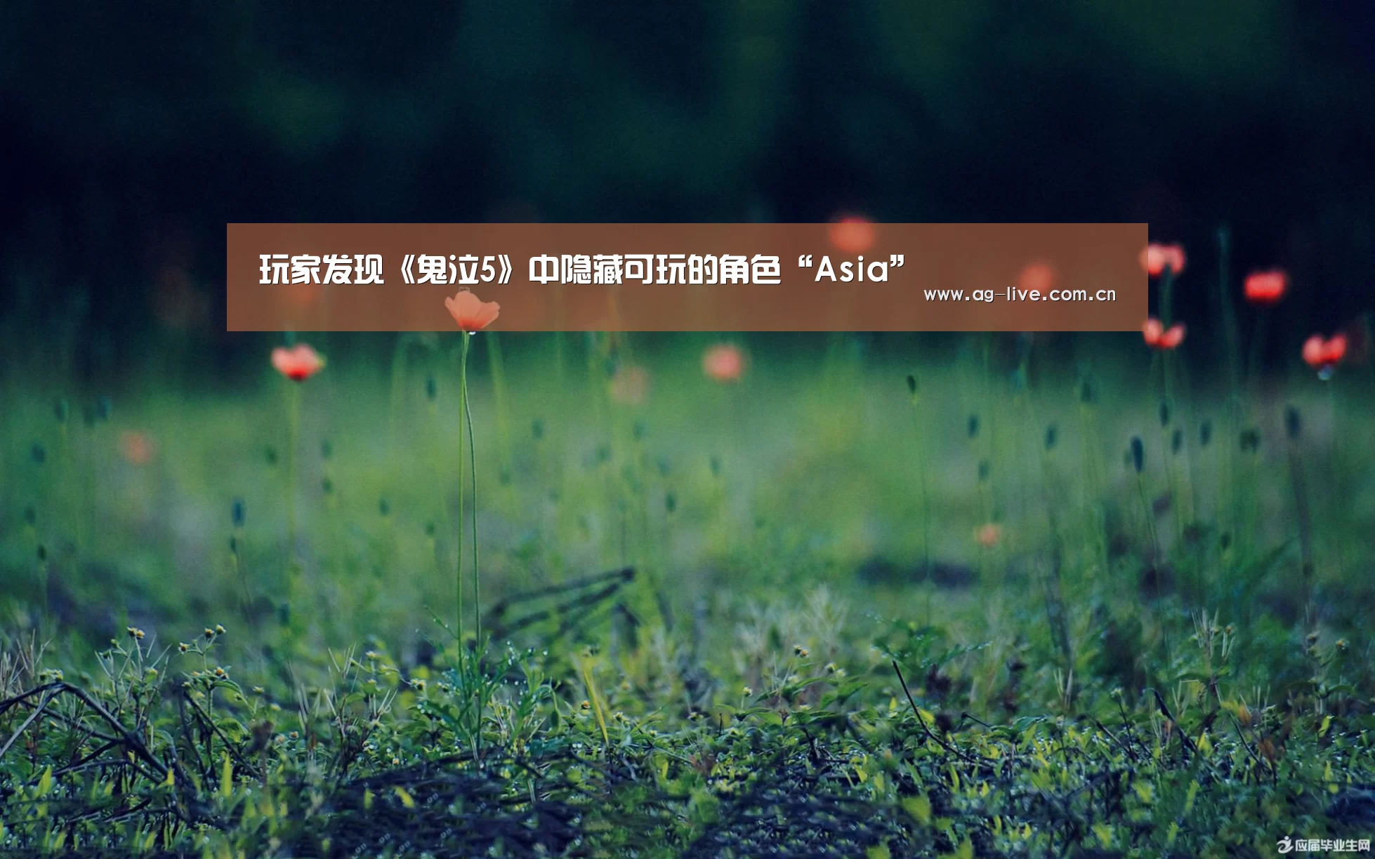 玩家发现《鬼泣5》中隐藏可玩的角色“Asia”