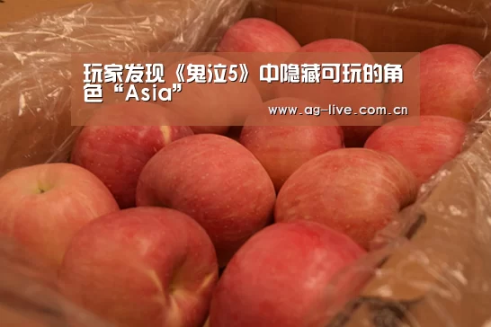 AG真人官网