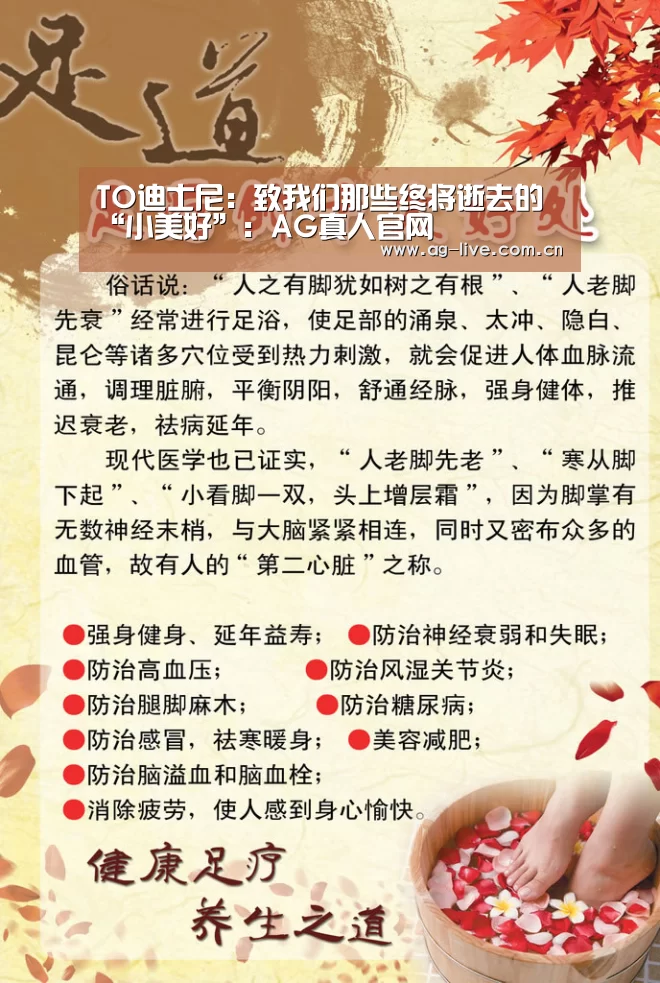 TO迪士尼：致我们那些终将逝去的“小美好”：AG真人官网(图1)